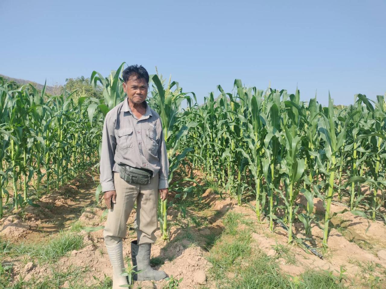 ภาพประกอบที่ 7