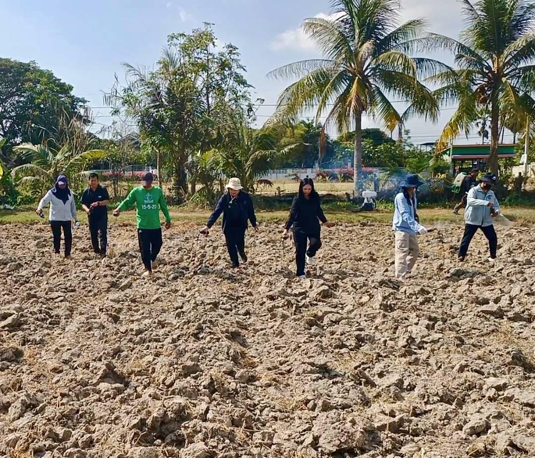 ภาพประกอบที่ 2
