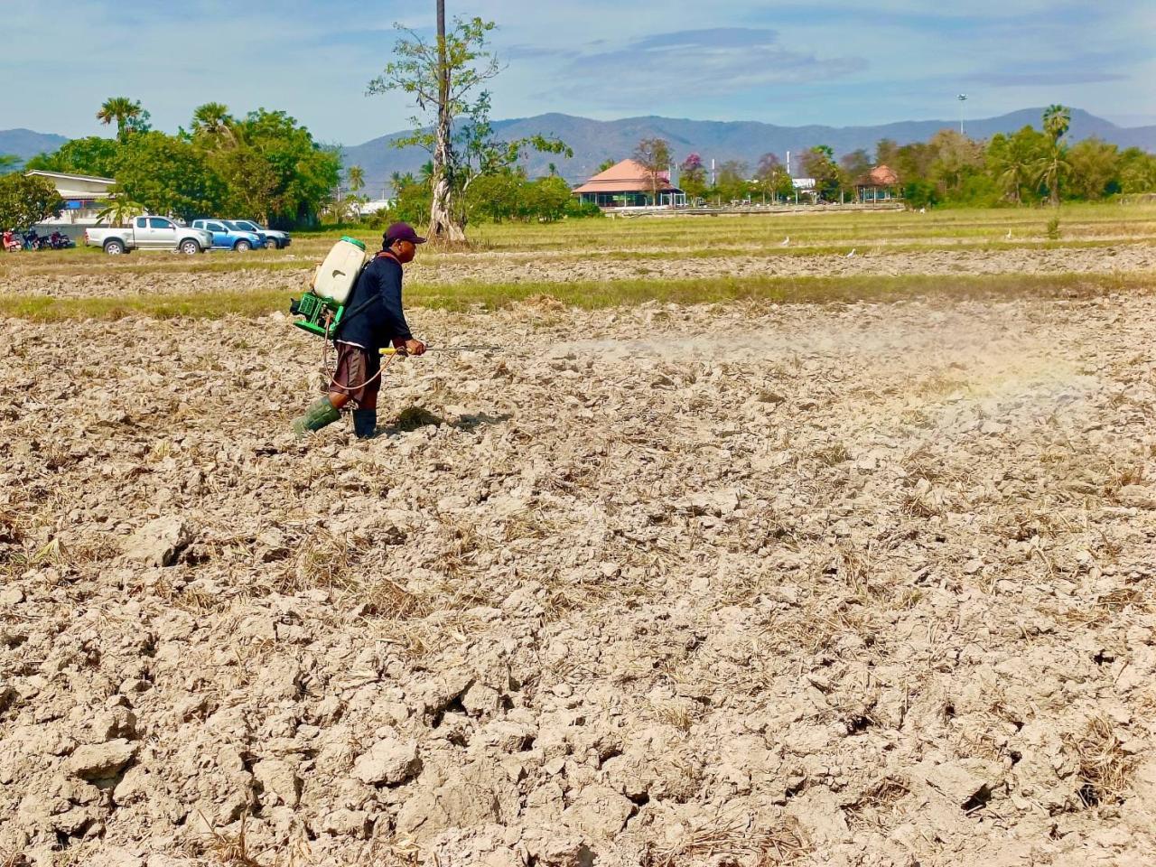 ภาพประกอบที่ 1