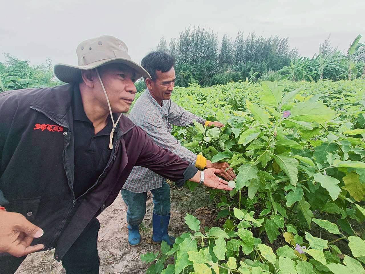 ภาพประกอบที่ 2