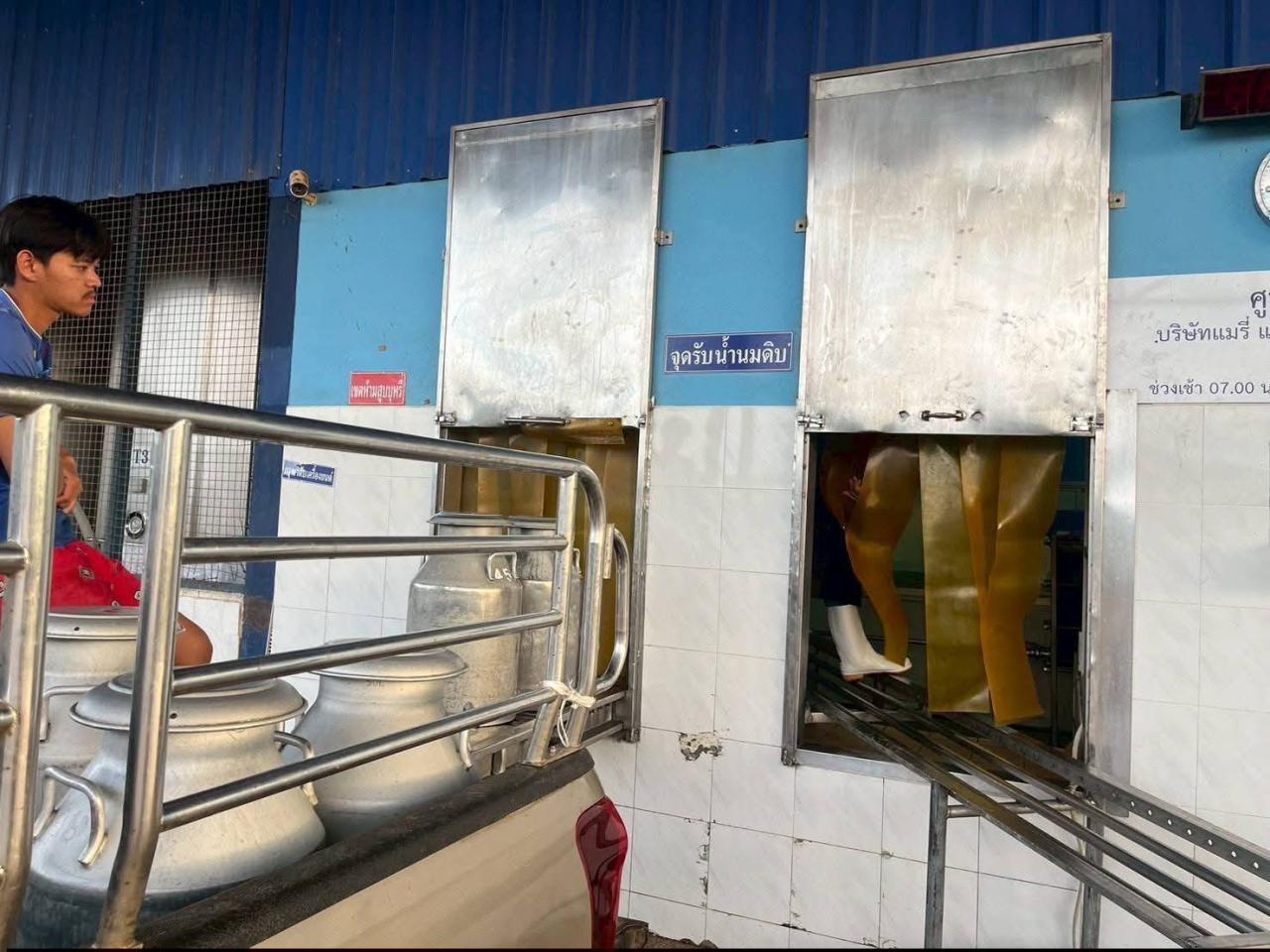 ภาพประกอบที่ 5