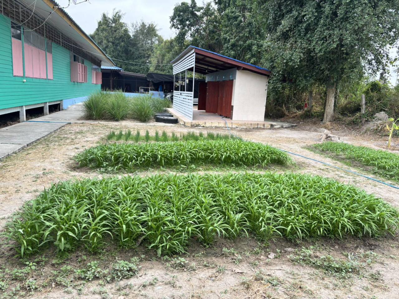 ภาพประกอบที่ 3