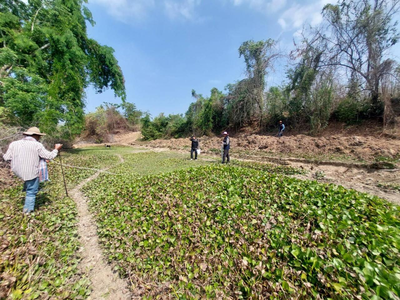 ภาพประกอบที่ 3