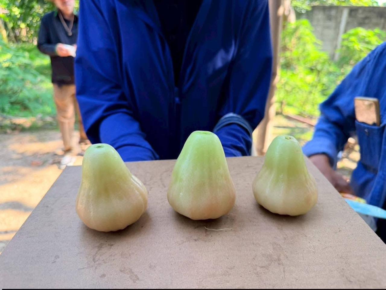 ภาพประกอบที่ 2