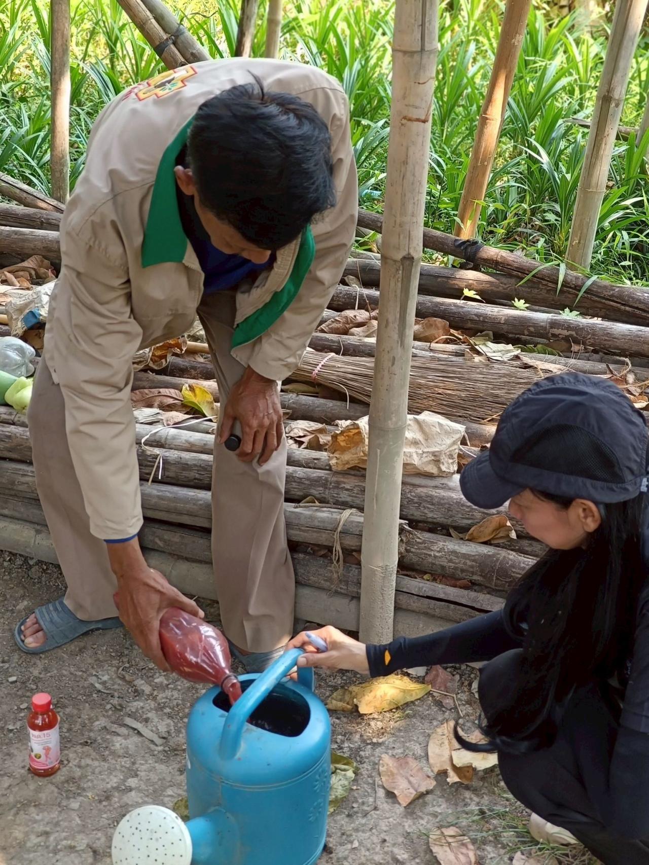 ภาพประกอบที่ 1