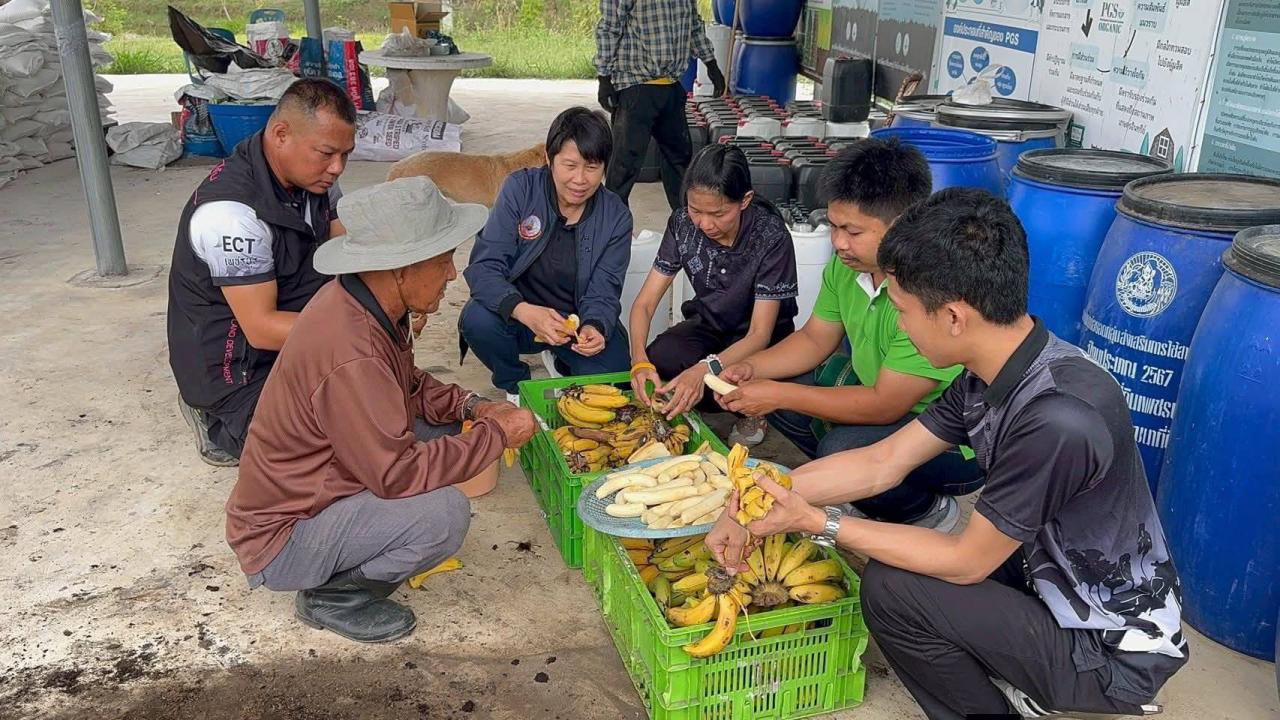 ภาพประกอบที่ 2
