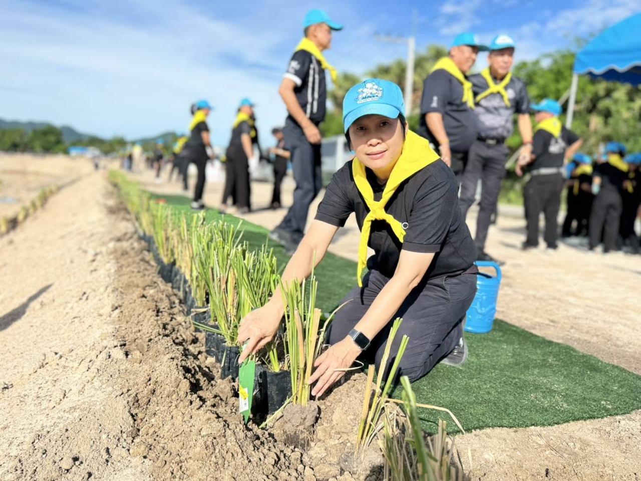 ภาพประกอบที่ 8