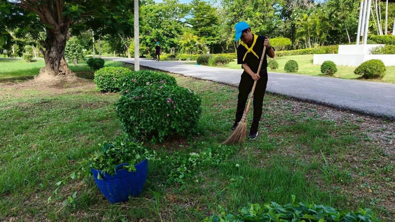 ภาพประกอบที่ 1