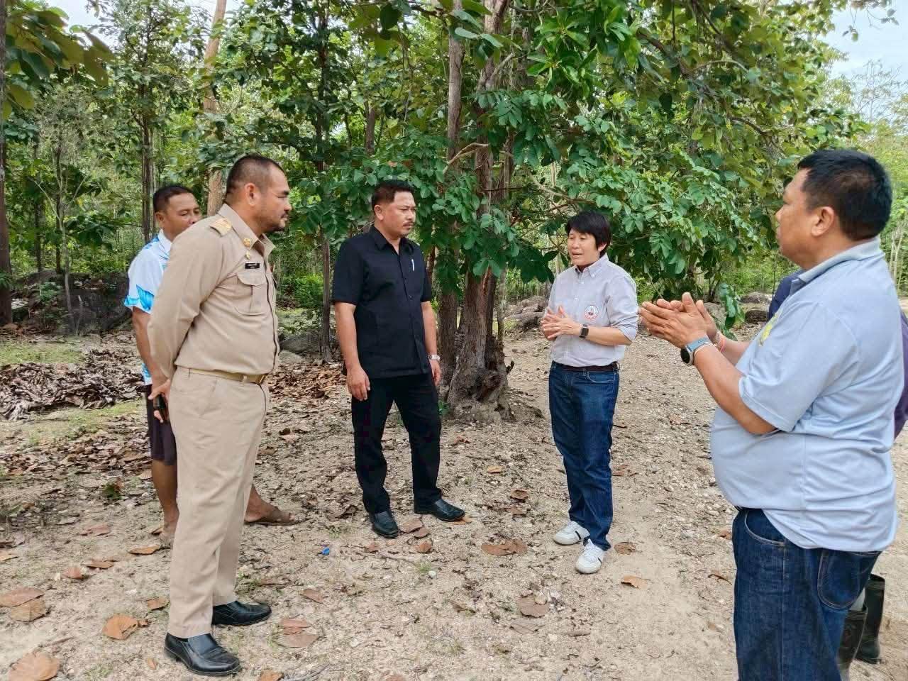 ภาพประกอบที่ 1