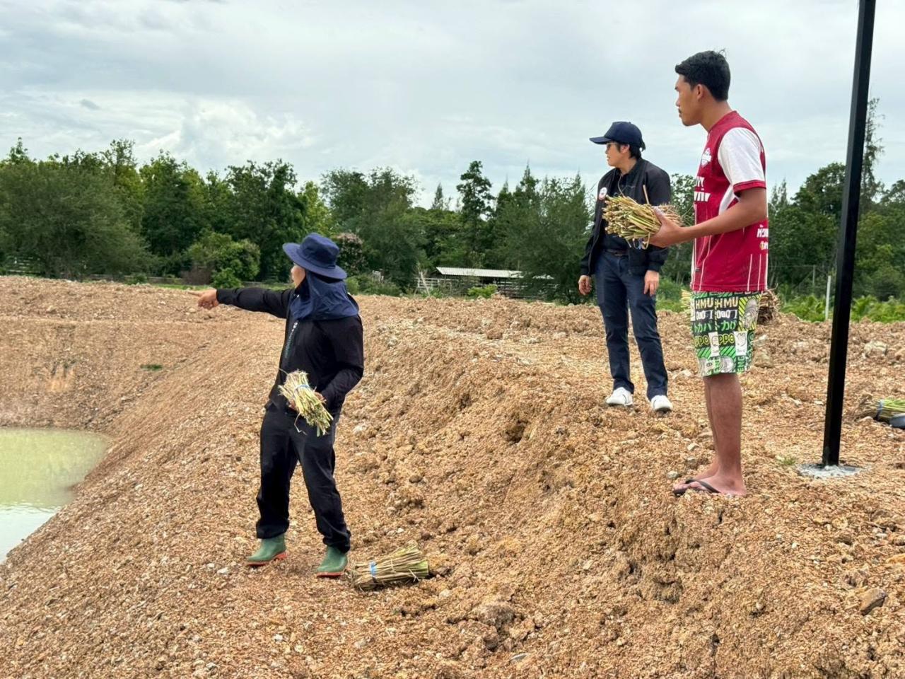 ภาพประกอบที่ 1