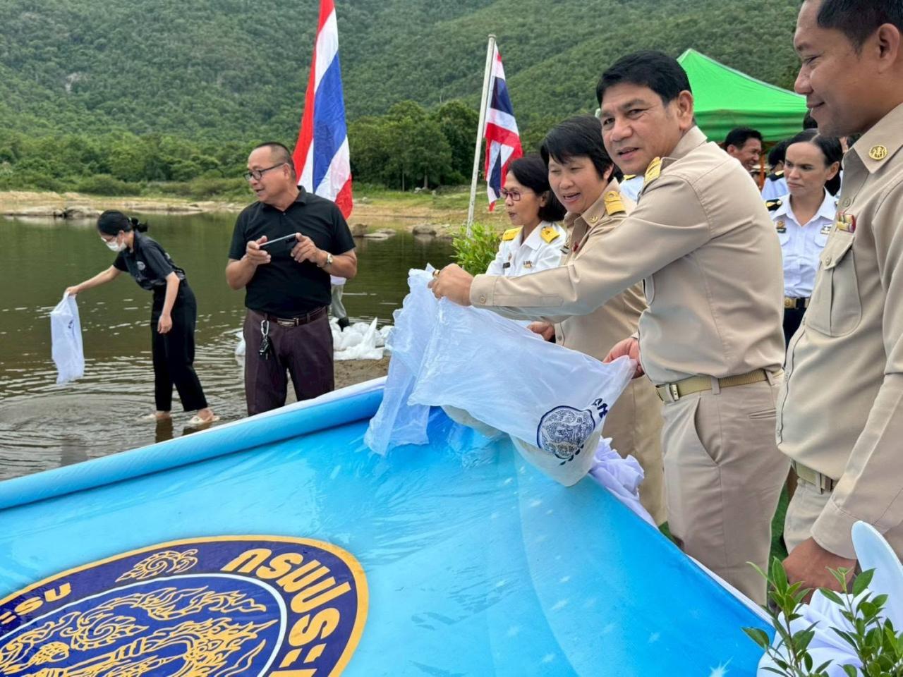 ภาพประกอบที่ 7
