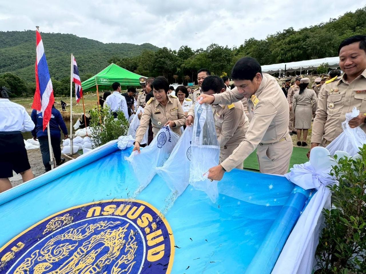 ภาพประกอบที่ 5