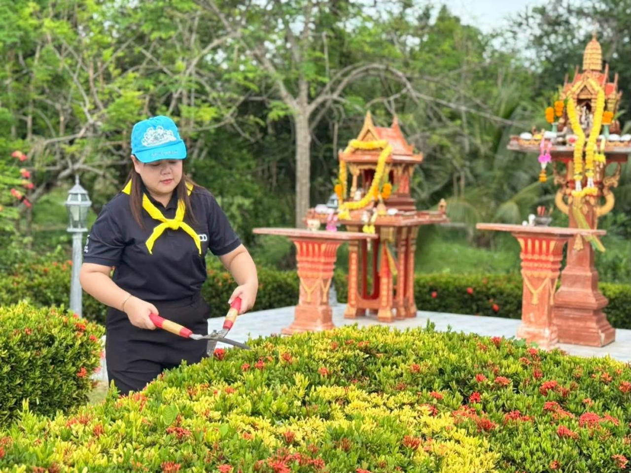 ภาพประกอบที่ 6