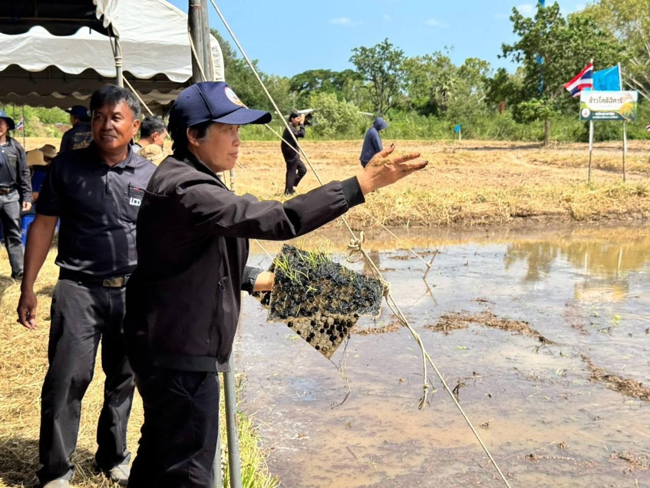 ภาพประกอบที่ 5