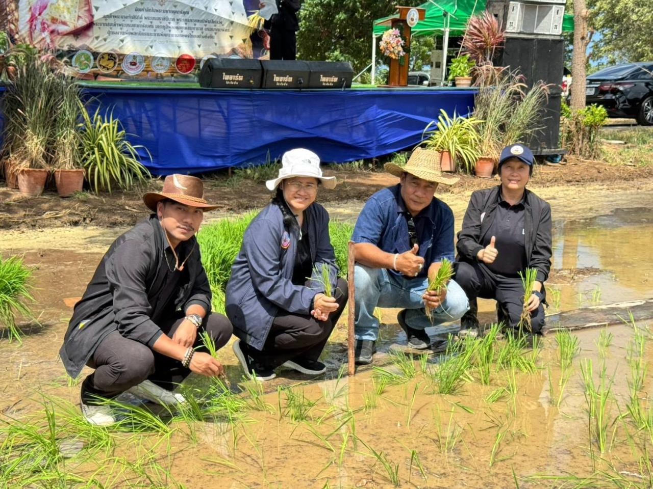 ภาพประกอบที่ 3