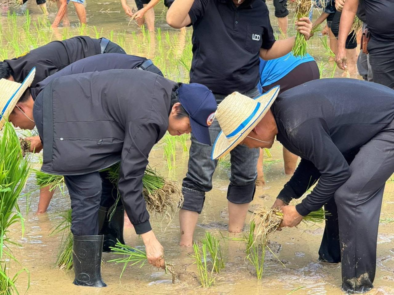 ภาพประกอบที่ 2