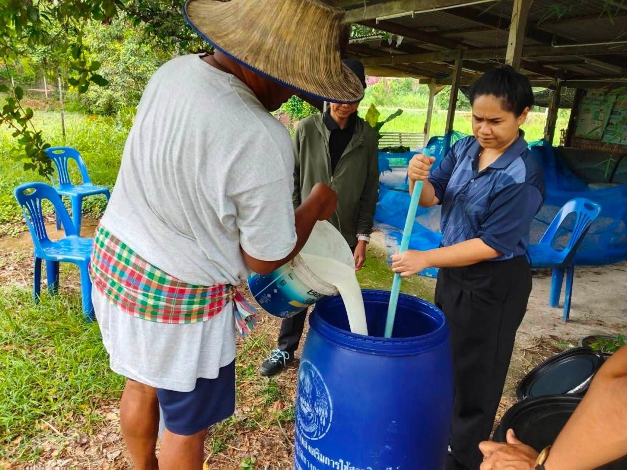 ภาพประกอบที่ 1