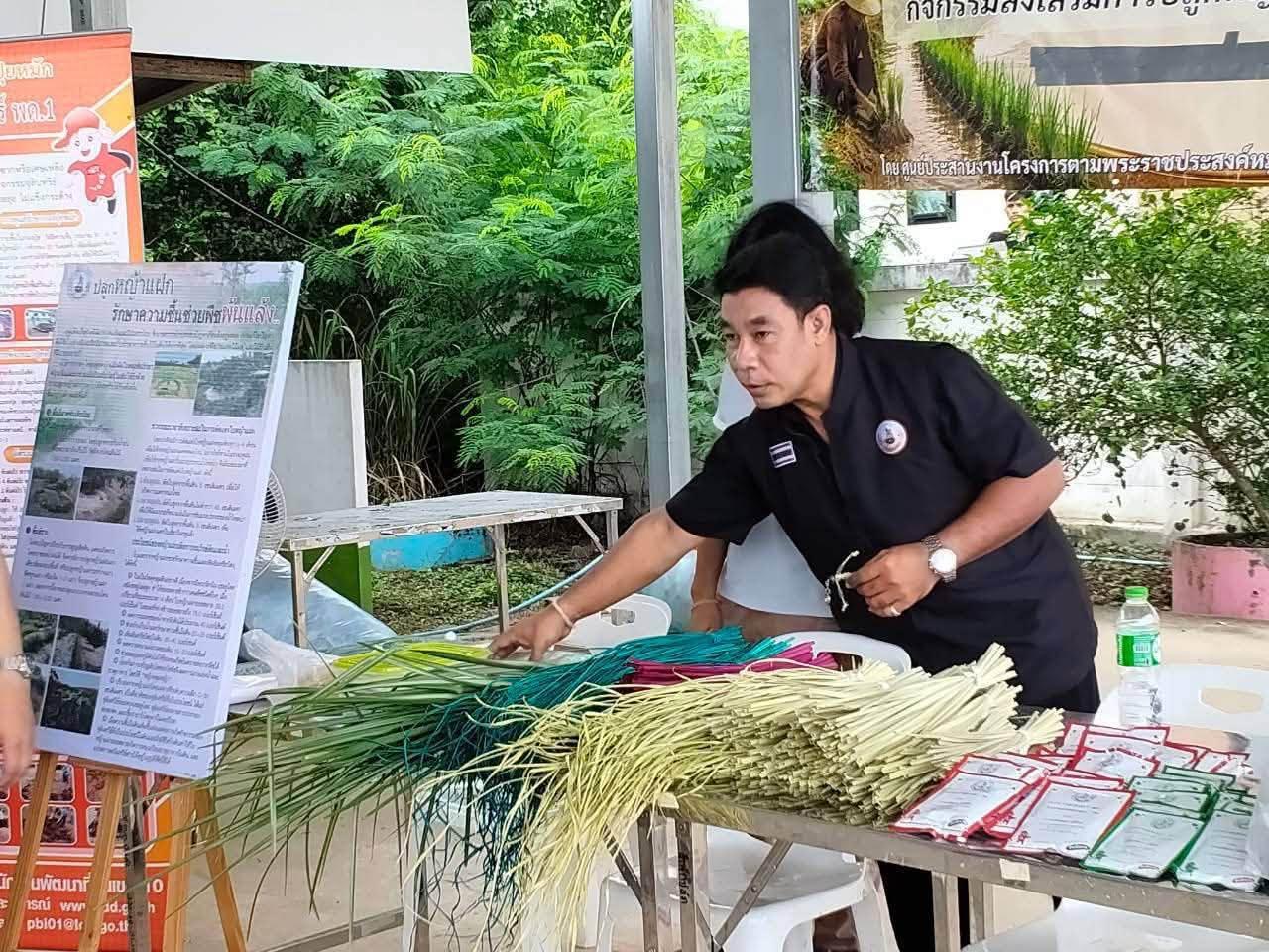 ภาพประกอบที่ 2