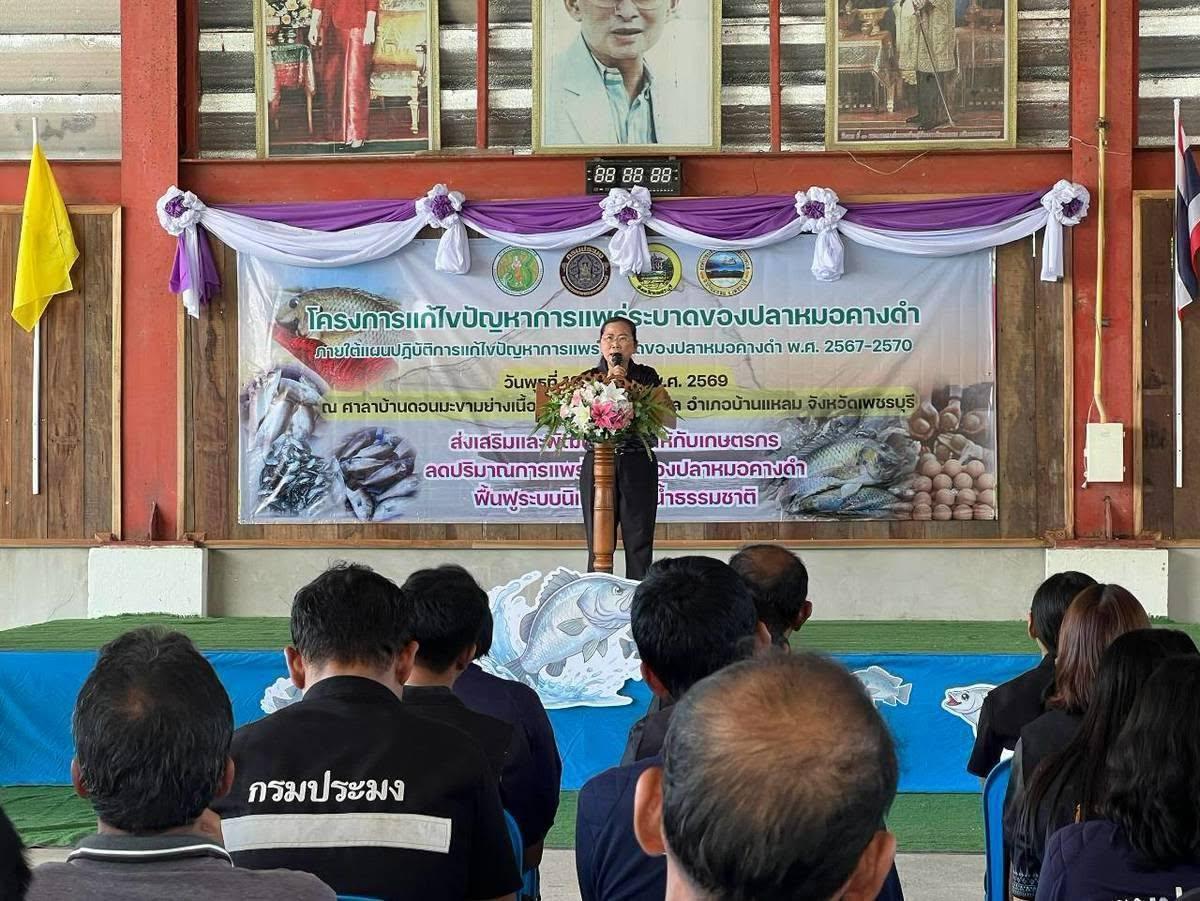 ภาพประกอบที่ 0