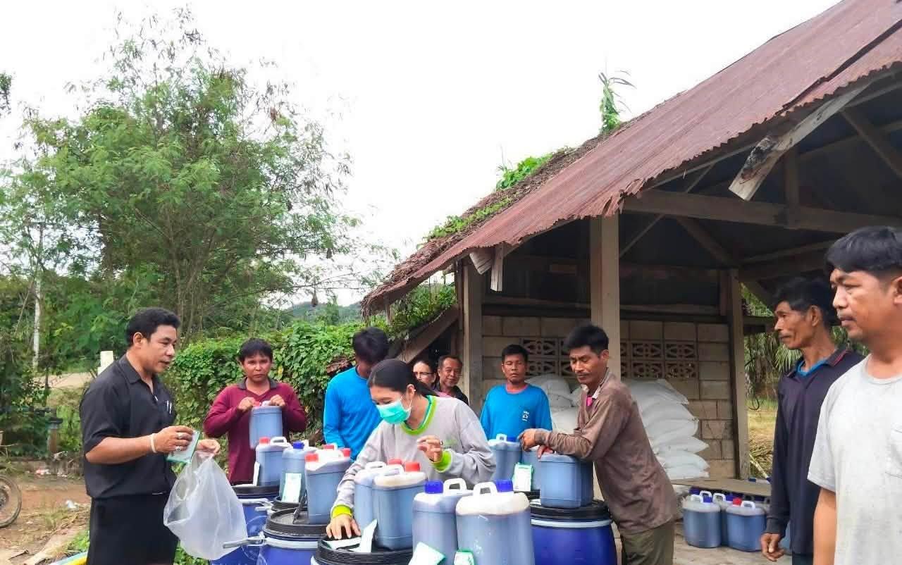 ภาพประกอบที่ 2