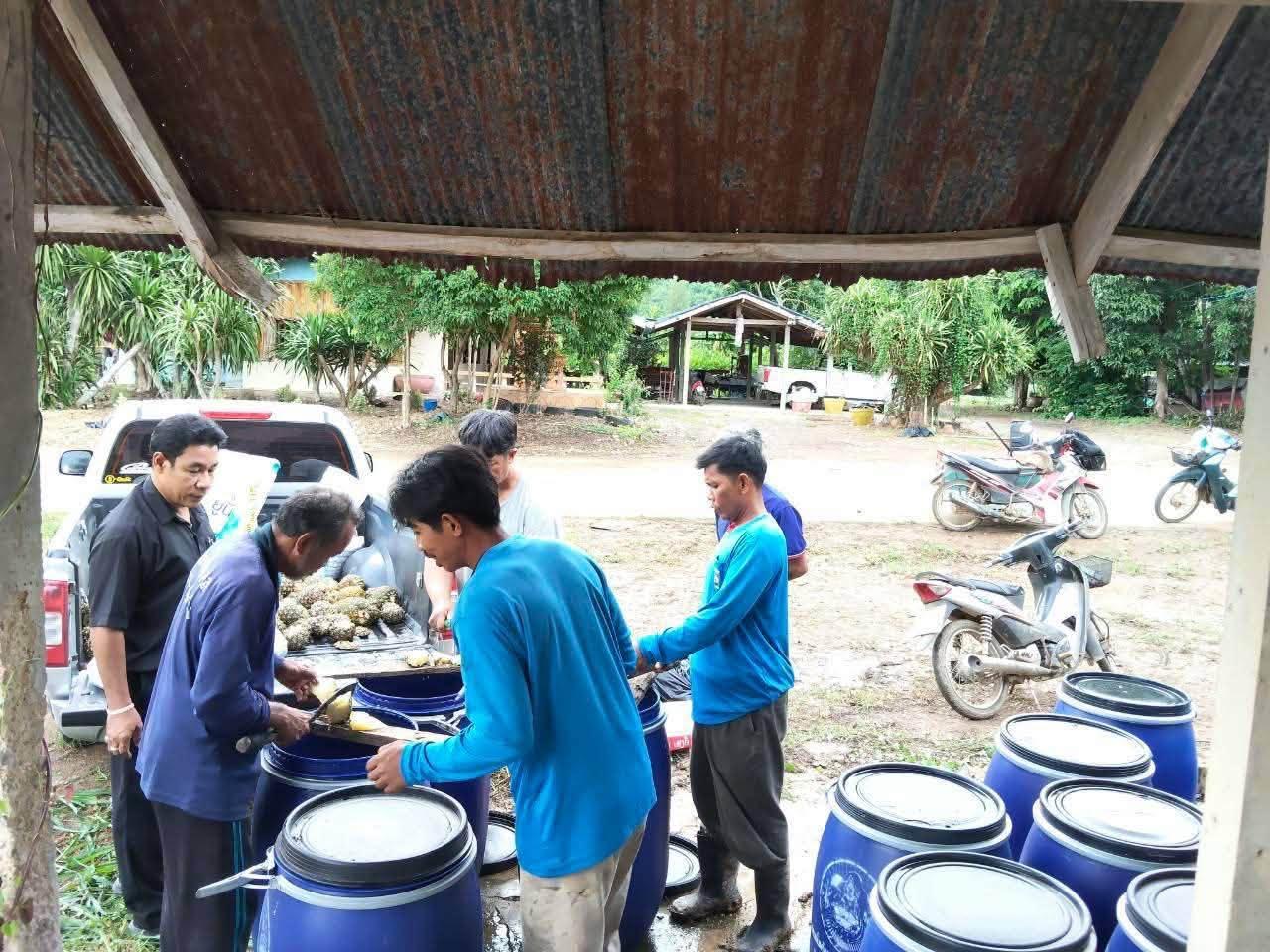 ภาพประกอบที่ 1