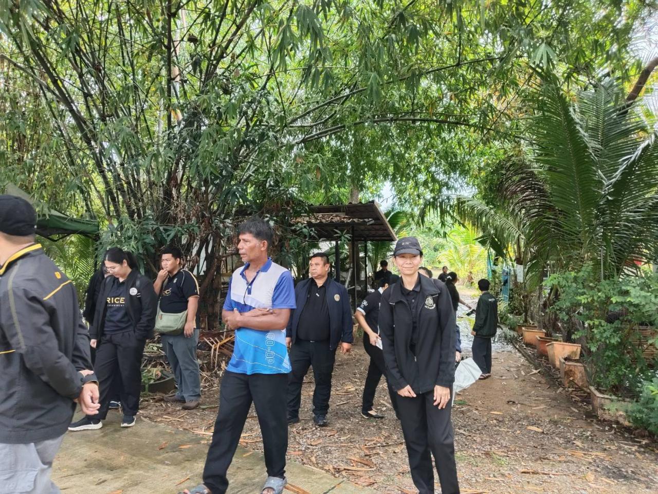 ภาพประกอบที่ 2