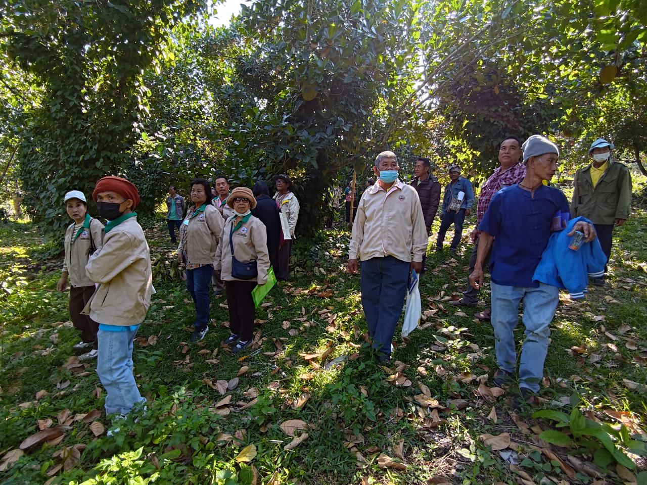 ภาพประกอบที่ 4