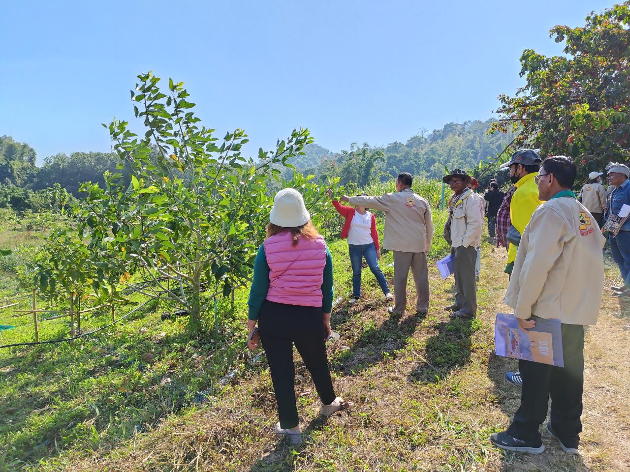 ภาพประกอบที่ 2