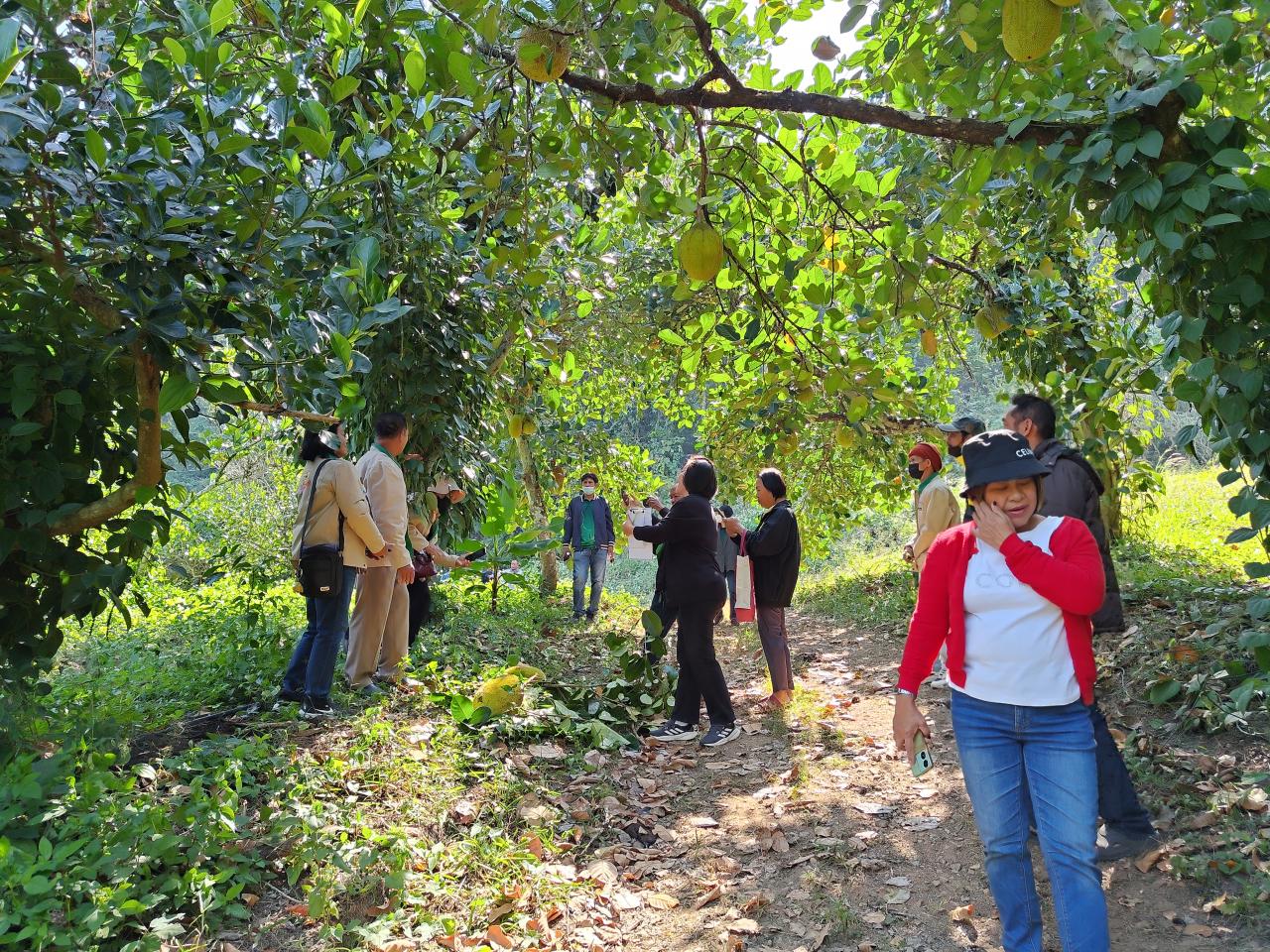 ภาพประกอบที่ 0