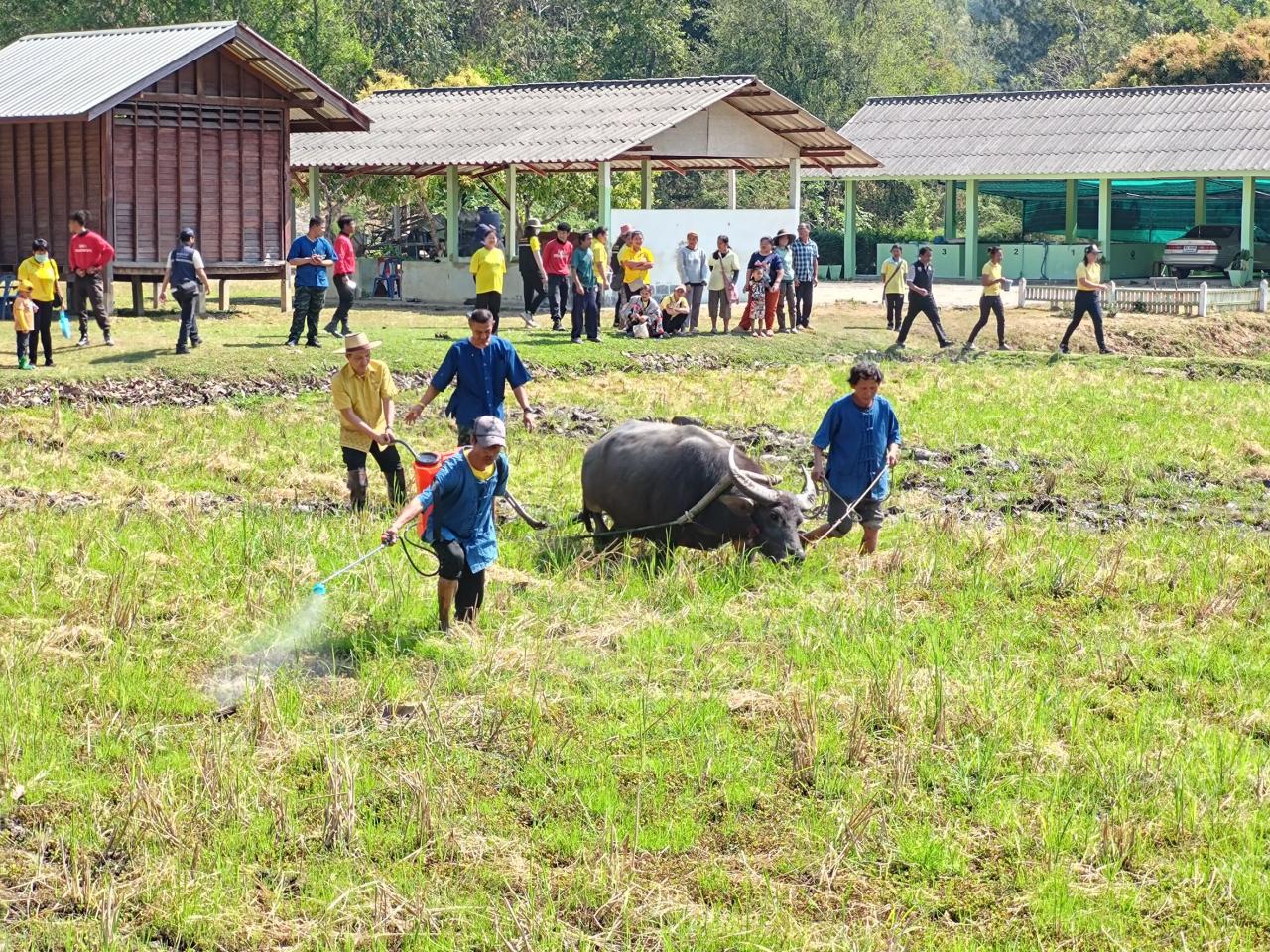 ภาพประกอบที่ 3