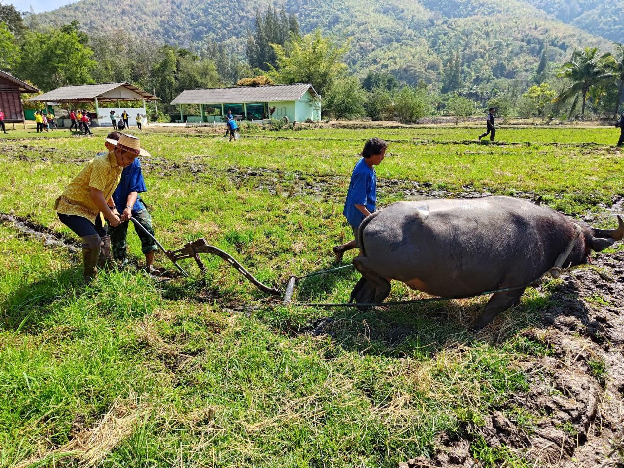 ภาพประกอบที่ 4