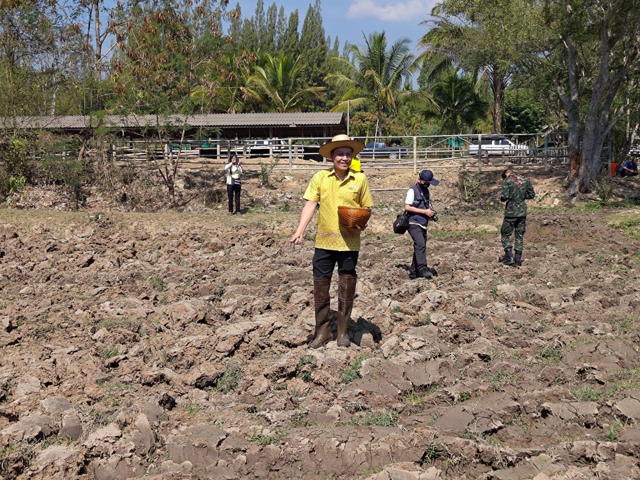 ภาพประกอบที่ 5