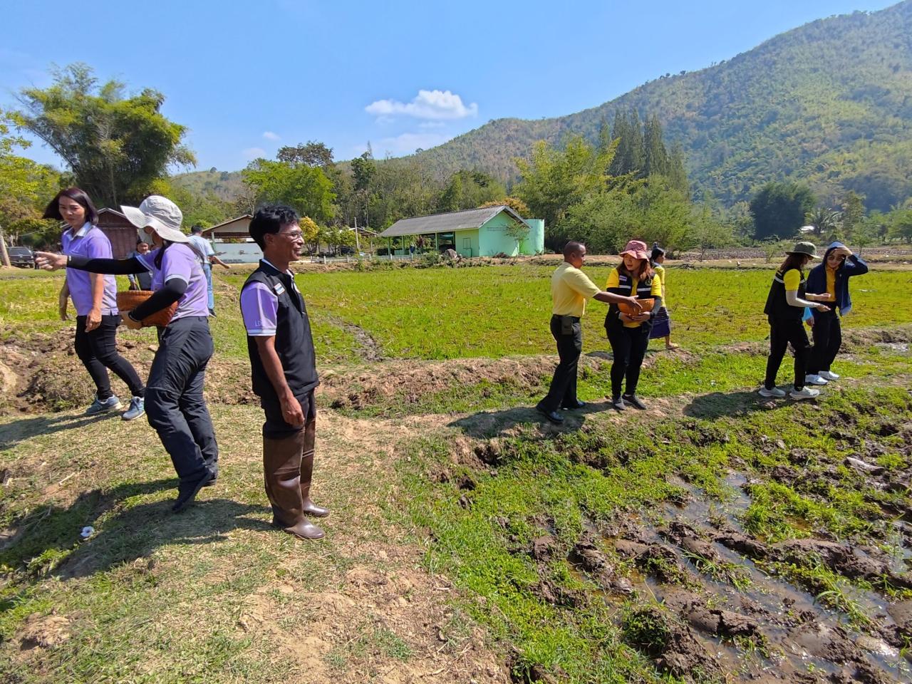 ภาพประกอบที่ 6
