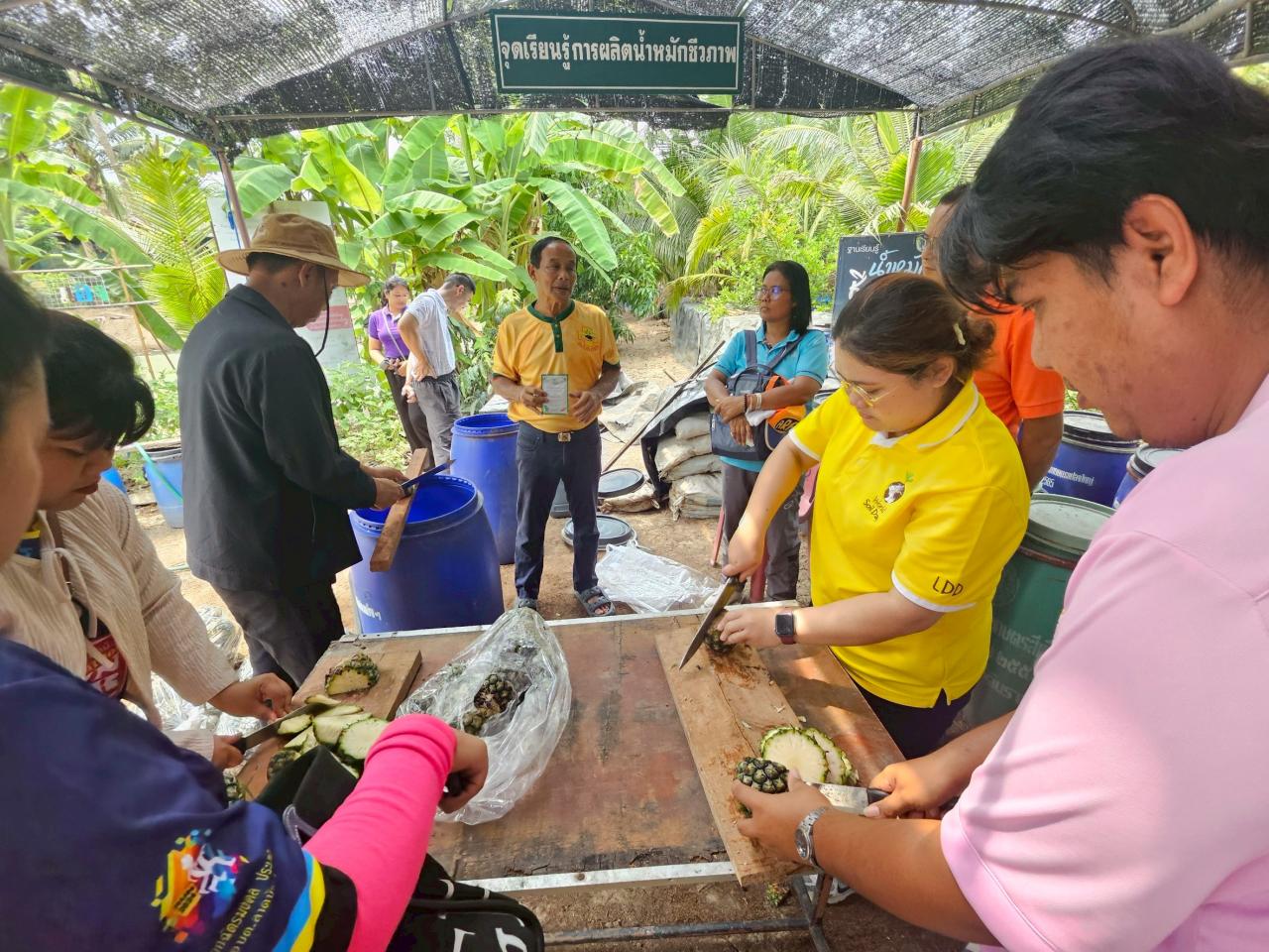 ภาพประกอบที่ 3