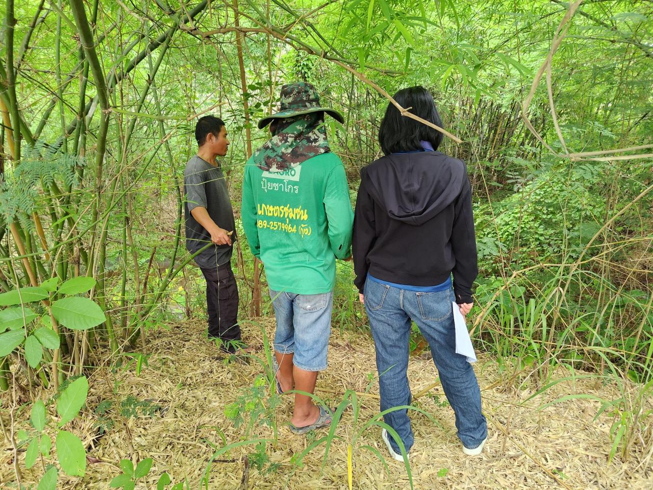 ภาพประกอบที่ 5