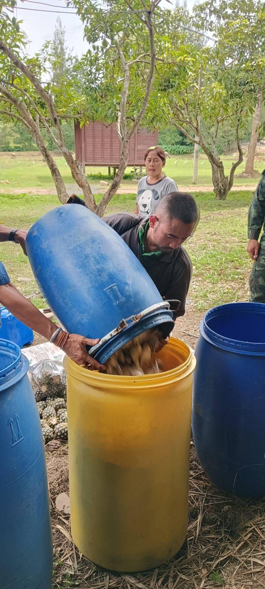 ภาพประกอบที่ 3