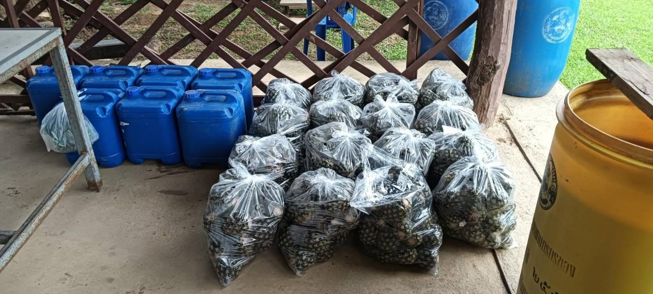 ภาพประกอบที่ 6