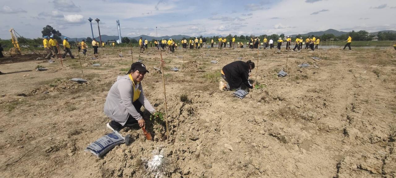 ภาพประกอบที่ 8