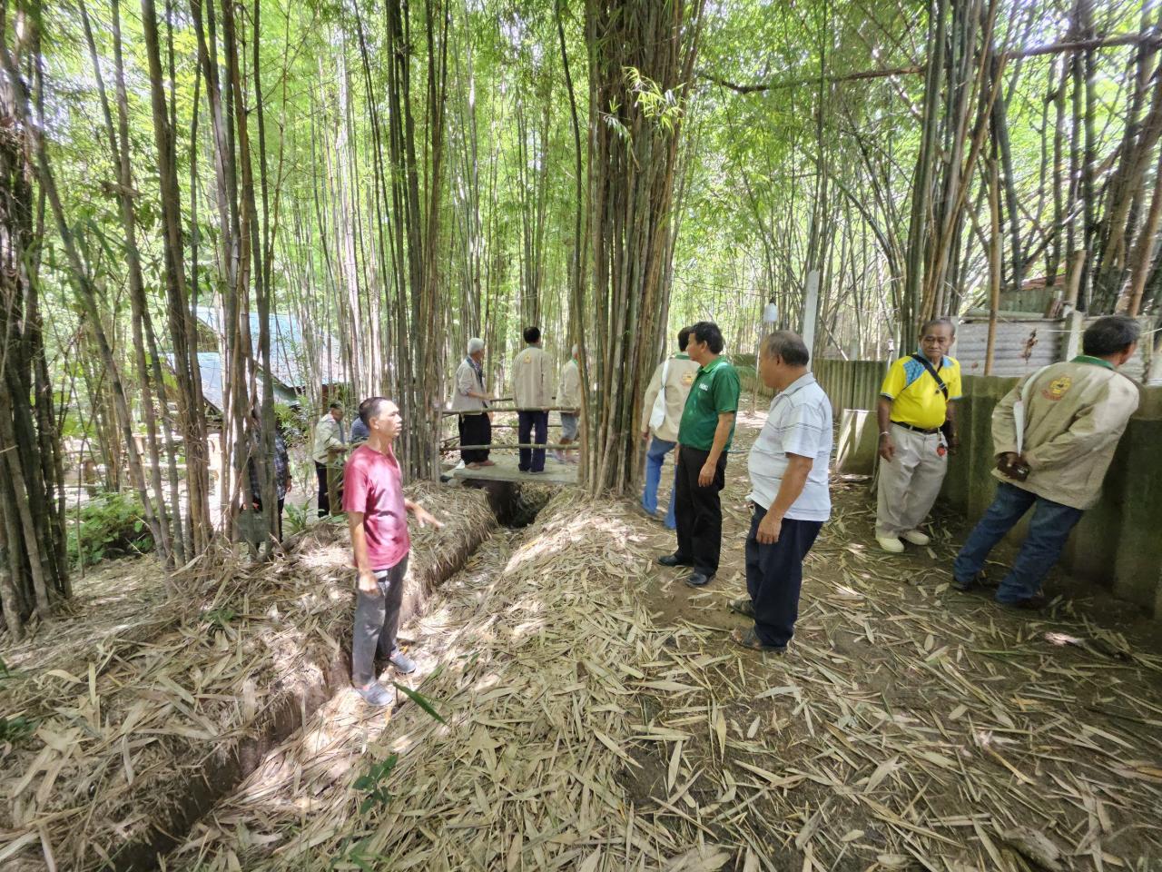 ภาพประกอบที่ 3