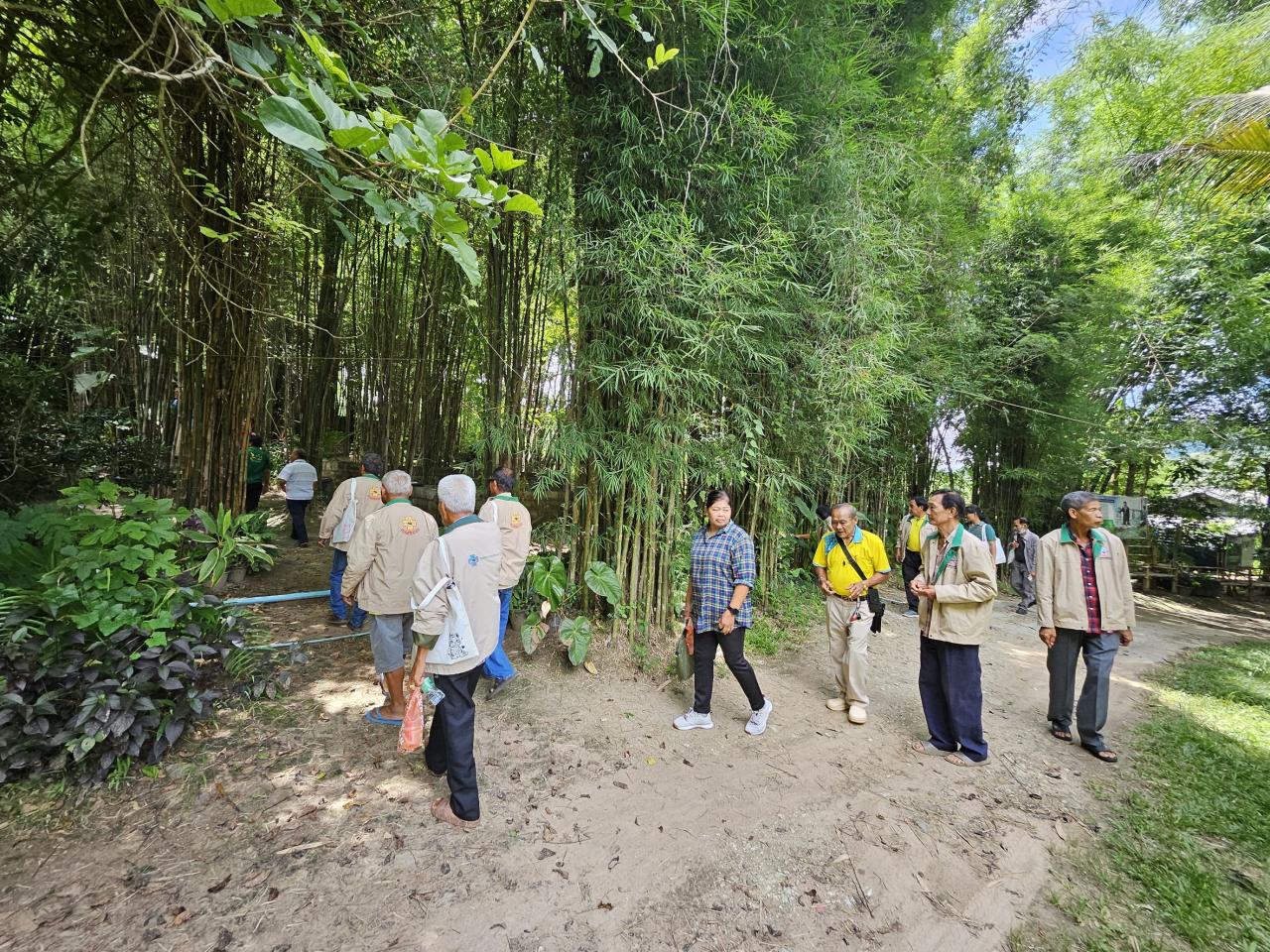 ภาพประกอบที่ 4