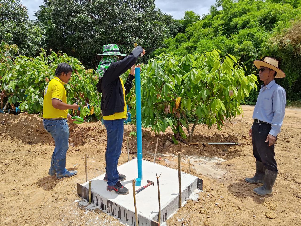 ภาพประกอบที่ 7