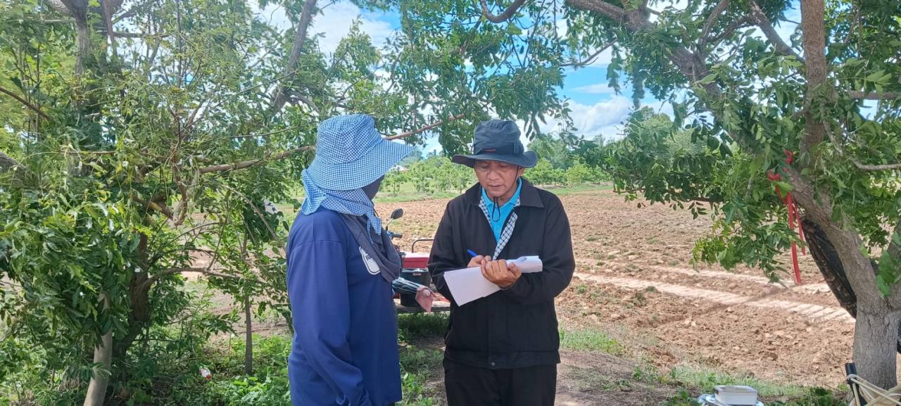 ภาพประกอบที่ 4