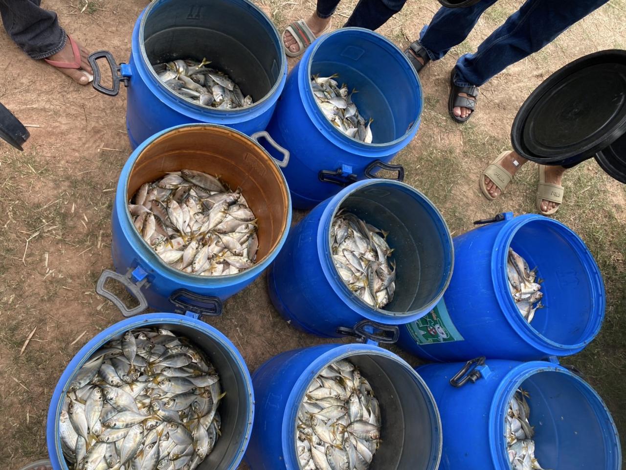 ภาพประกอบที่ 4