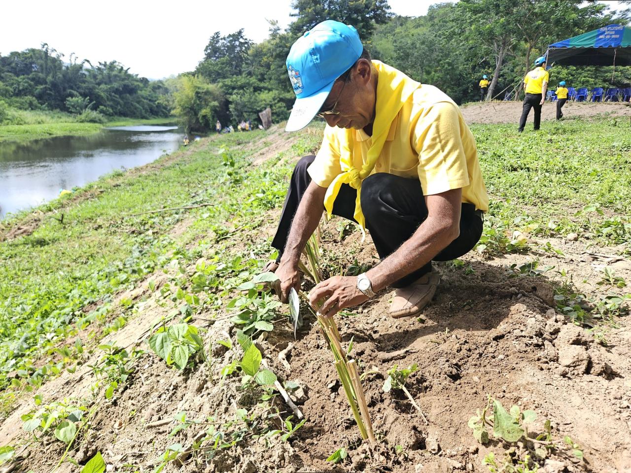 ภาพประกอบที่ 2