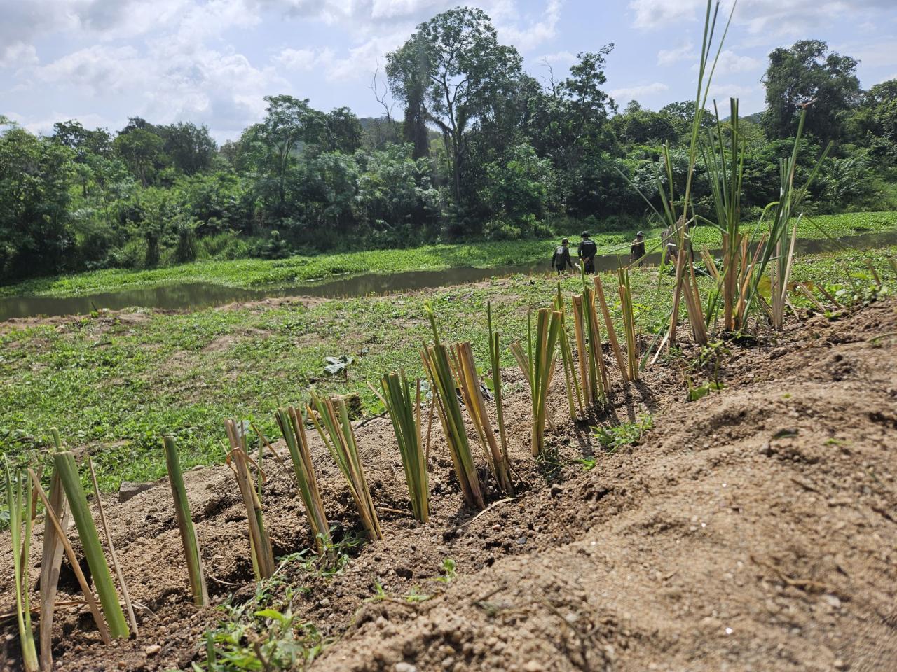 ภาพประกอบที่ 4