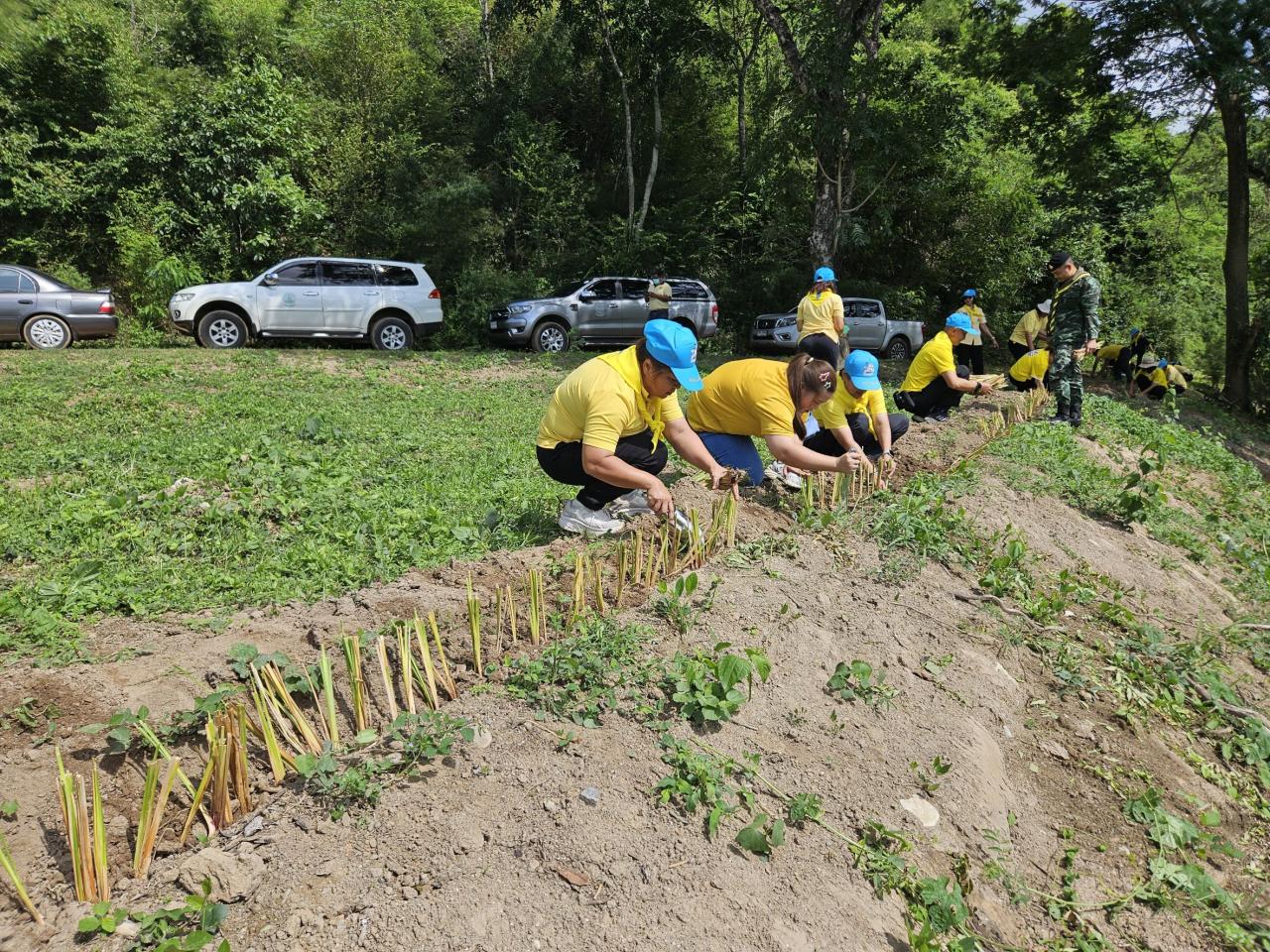 ภาพประกอบที่ 5