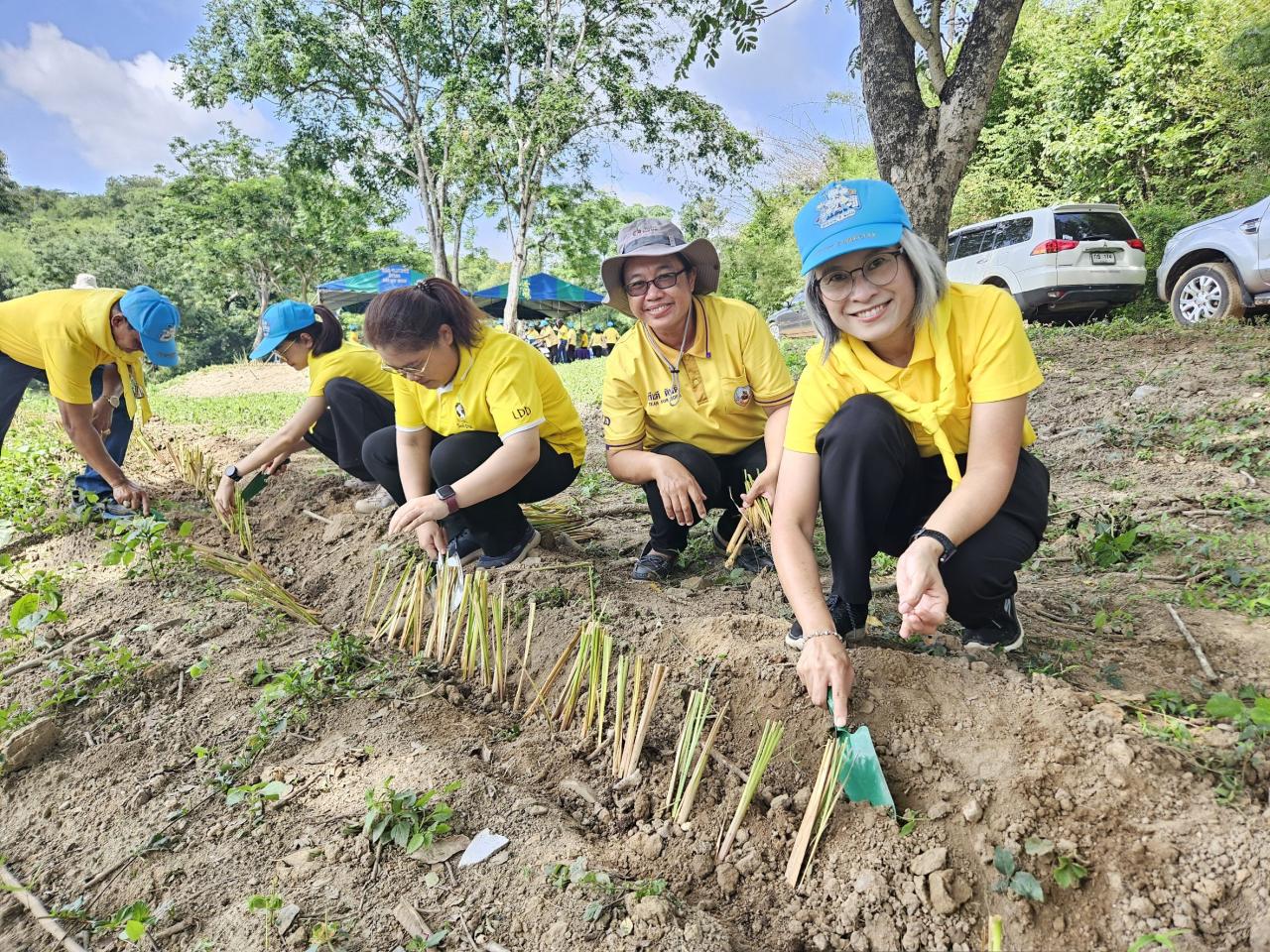 ภาพประกอบที่ 7