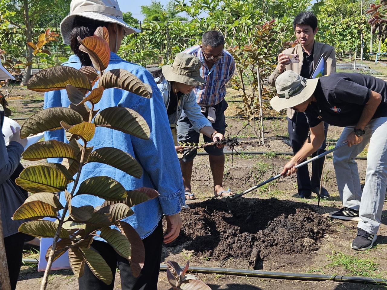 ภาพประกอบที่ 1