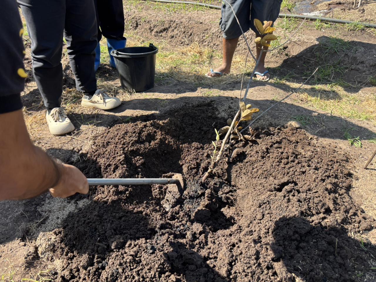 ภาพประกอบที่ 5