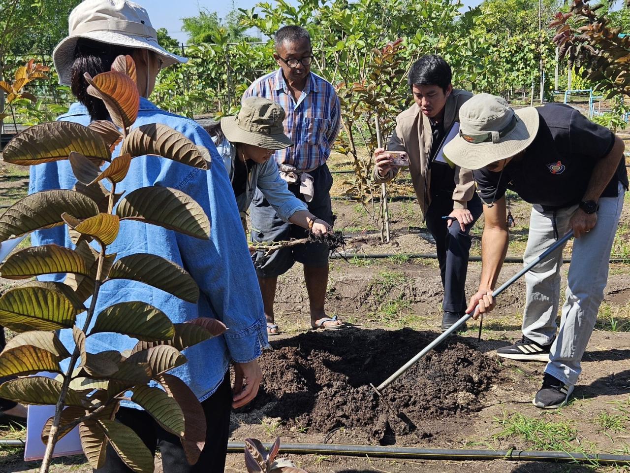 ภาพประกอบที่ 7
